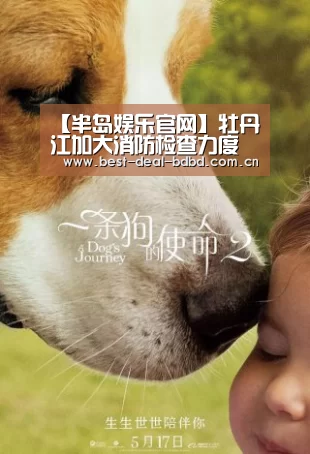 半岛娱乐官方网站